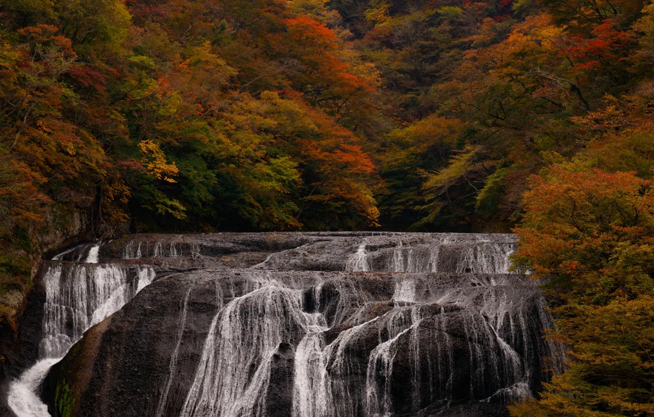 Photo wallpaper autumn, trees, landscape, nature, open, waterfall, stream