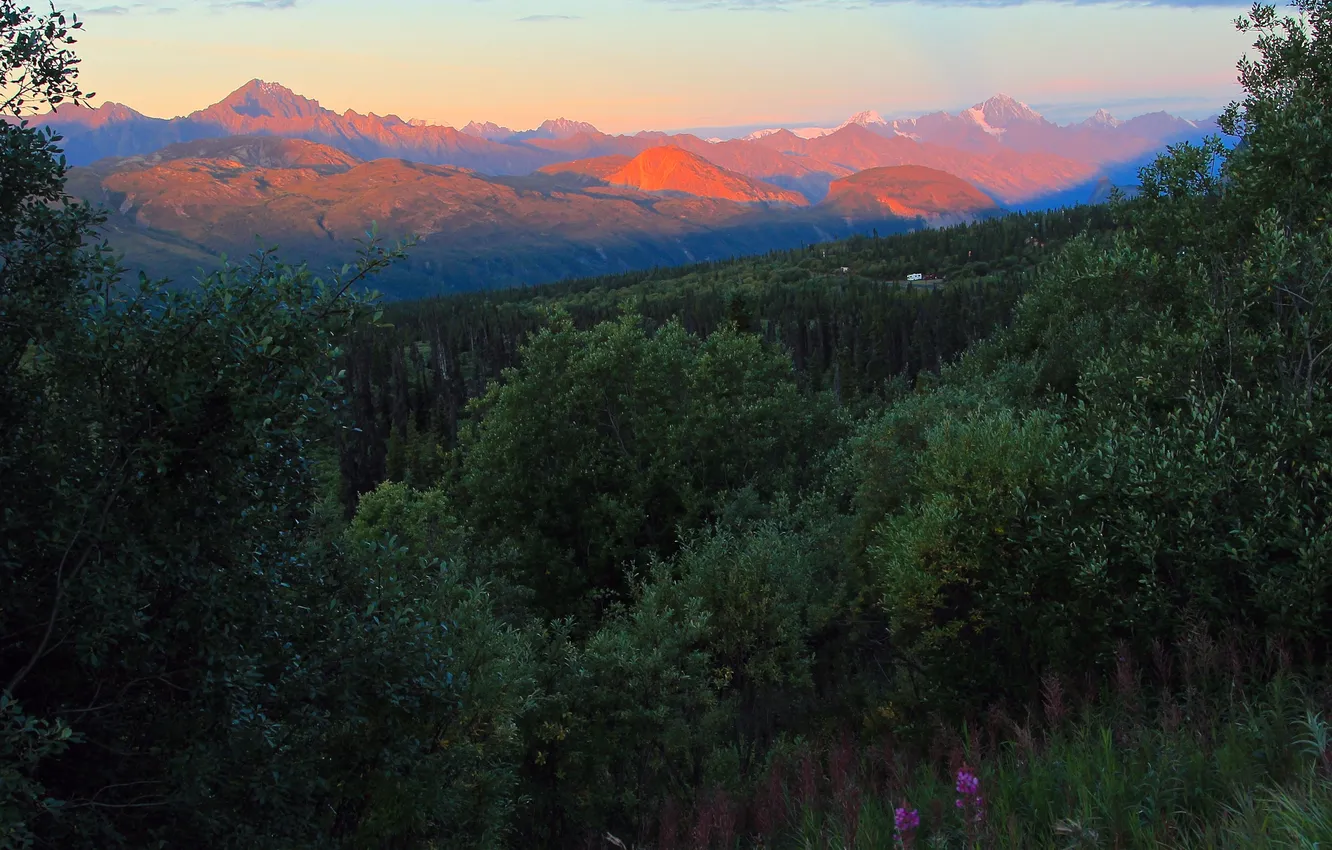 Photo wallpaper forest, sunset, mountains
