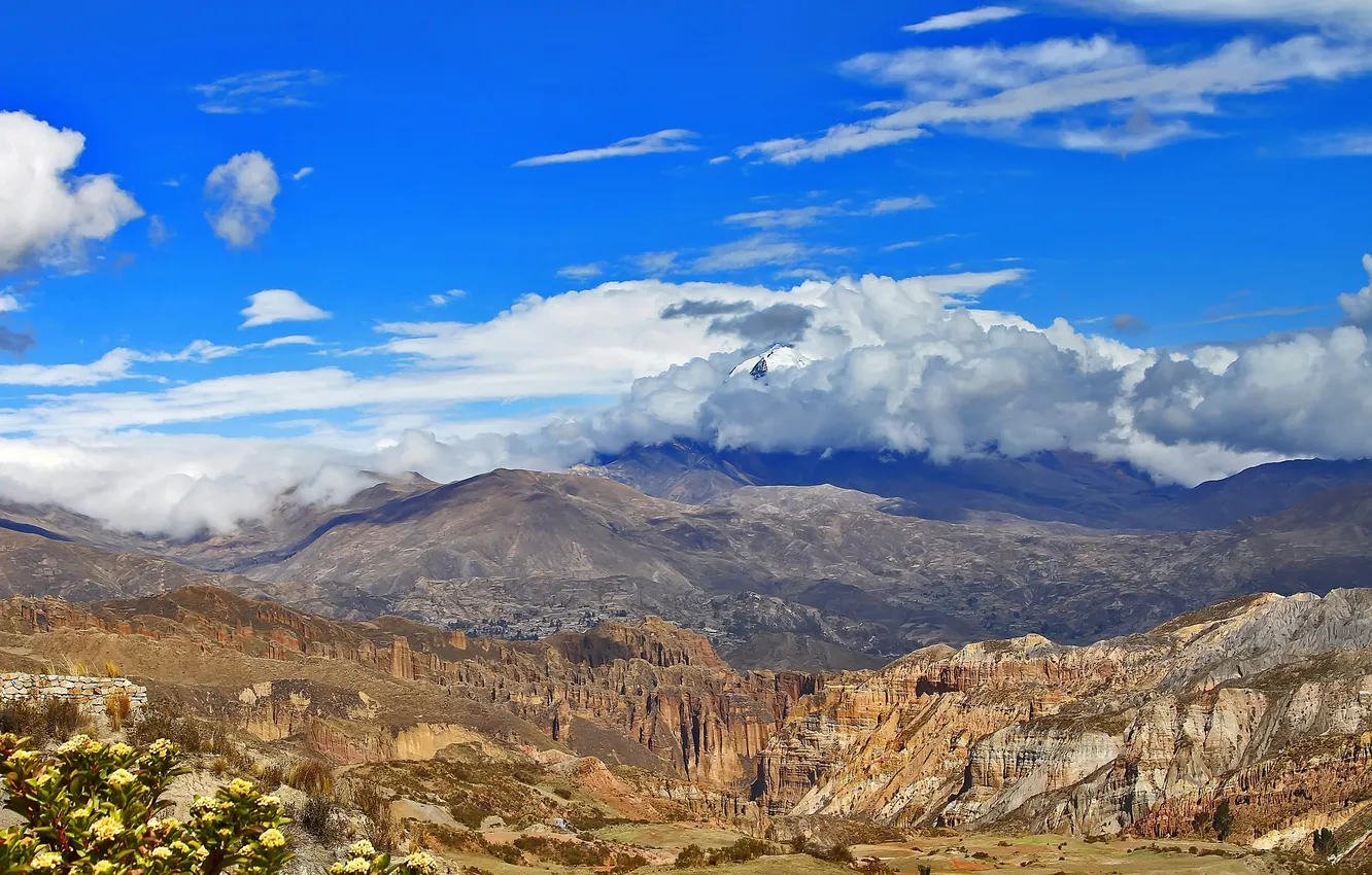 Photo wallpaper the sky, clouds, flowers, mountains, rocks