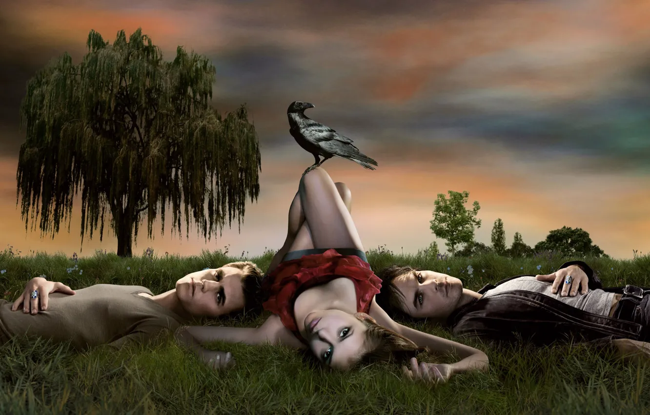 Photo wallpaper grass, trees, three, The vampire diaries, Rook
