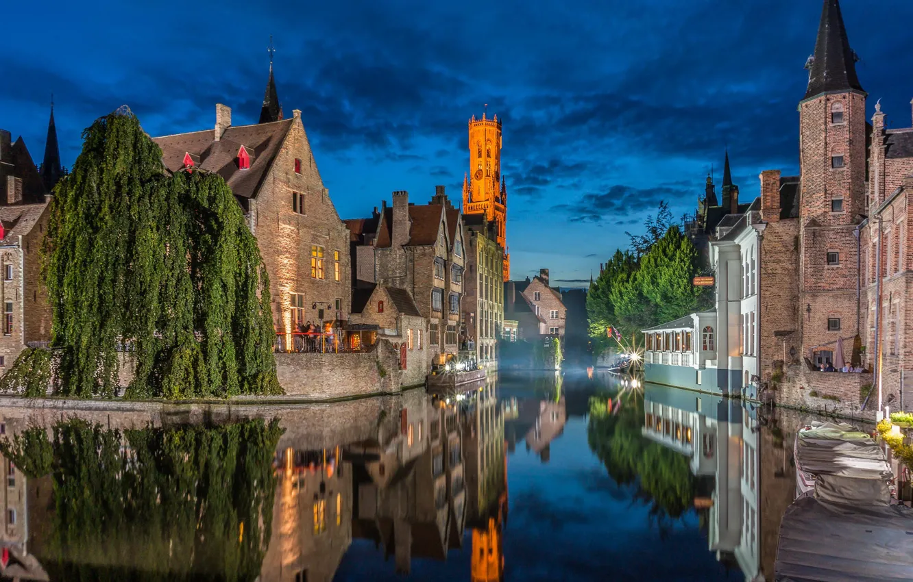 Photo wallpaper trees, the city, reflection, building, tower, home, the evening, lighting