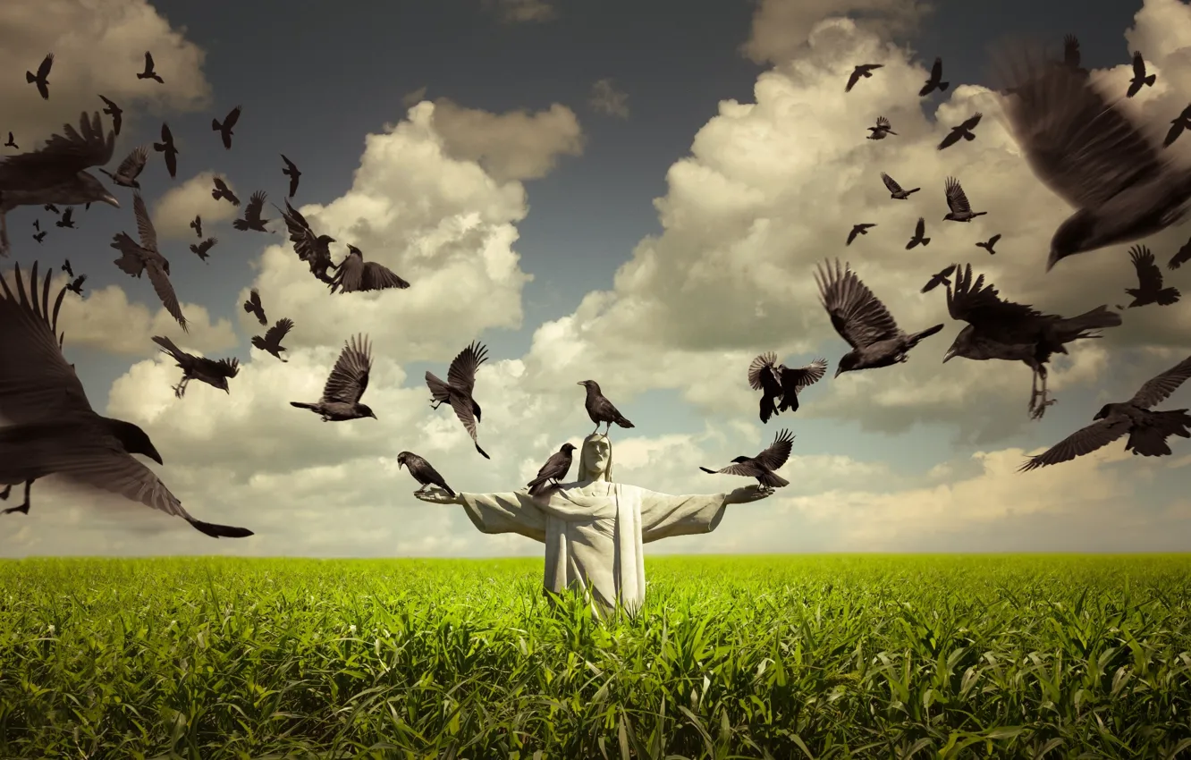Photo wallpaper field, bird, statue