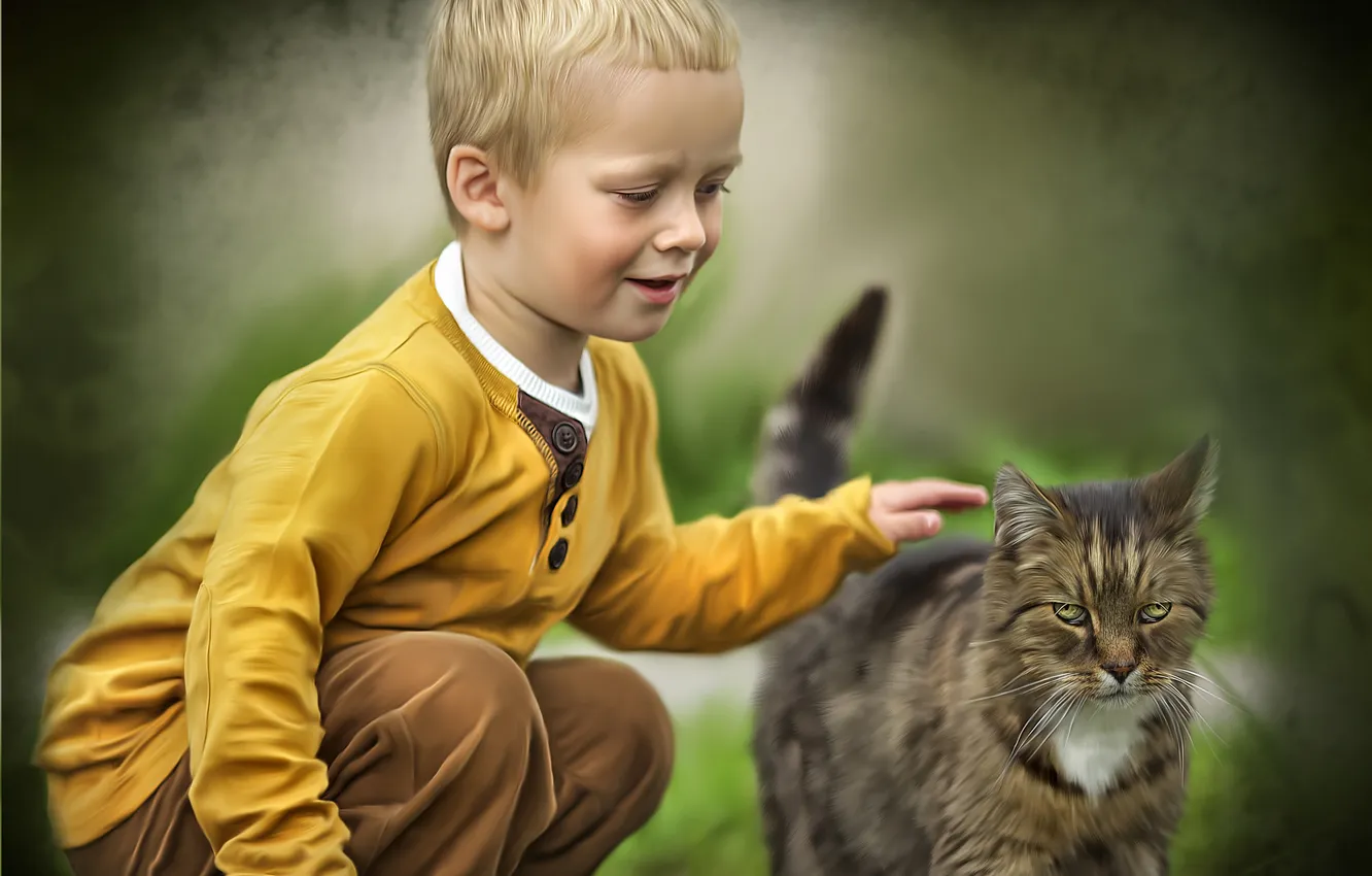 Photo wallpaper cat, texture, boy