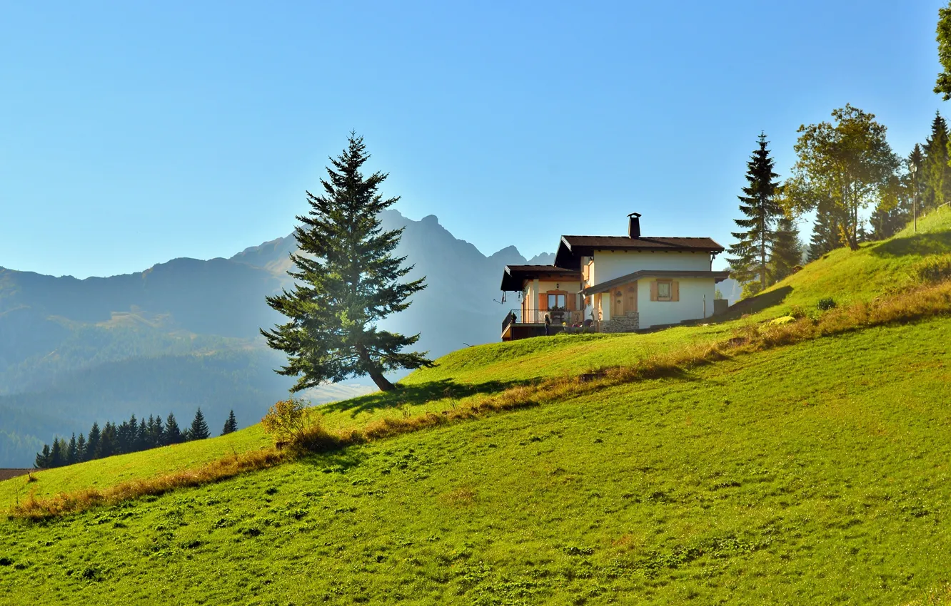 Photo wallpaper greens, forest, grass, the sun, trees, mountains, slope, Italy