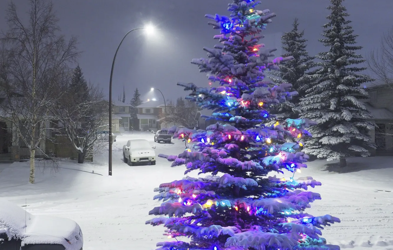 Photo wallpaper winter, snow, lights, tree, new year, garland