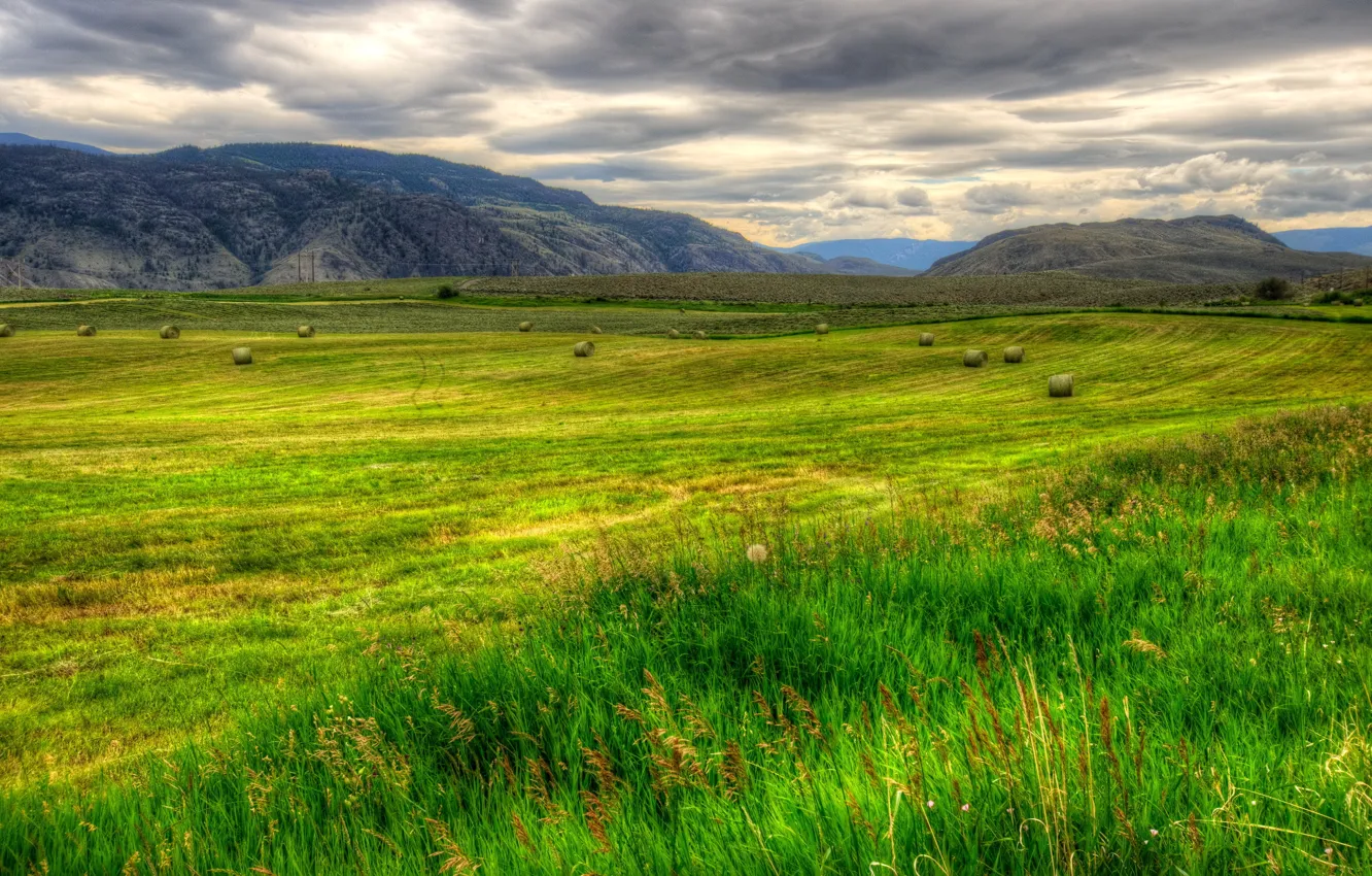 Photo wallpaper grass, landscape, nature, field, HDR, Canada, British, Columbia