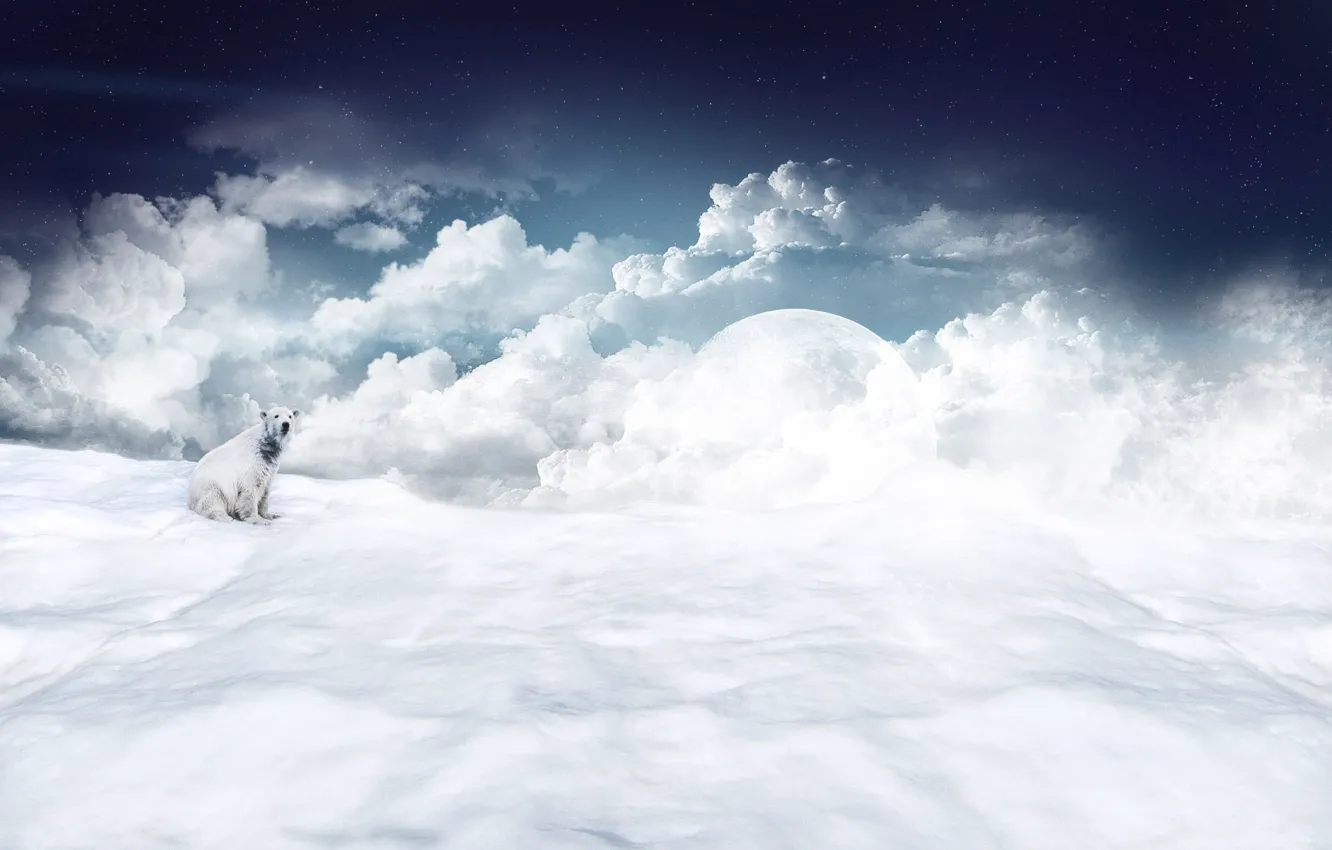 Photo wallpaper white, the sky, stars, clouds, polar bear