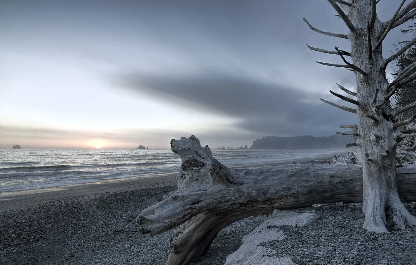 Photo wallpaper landscape, Olympic National Park, Rialto Beach