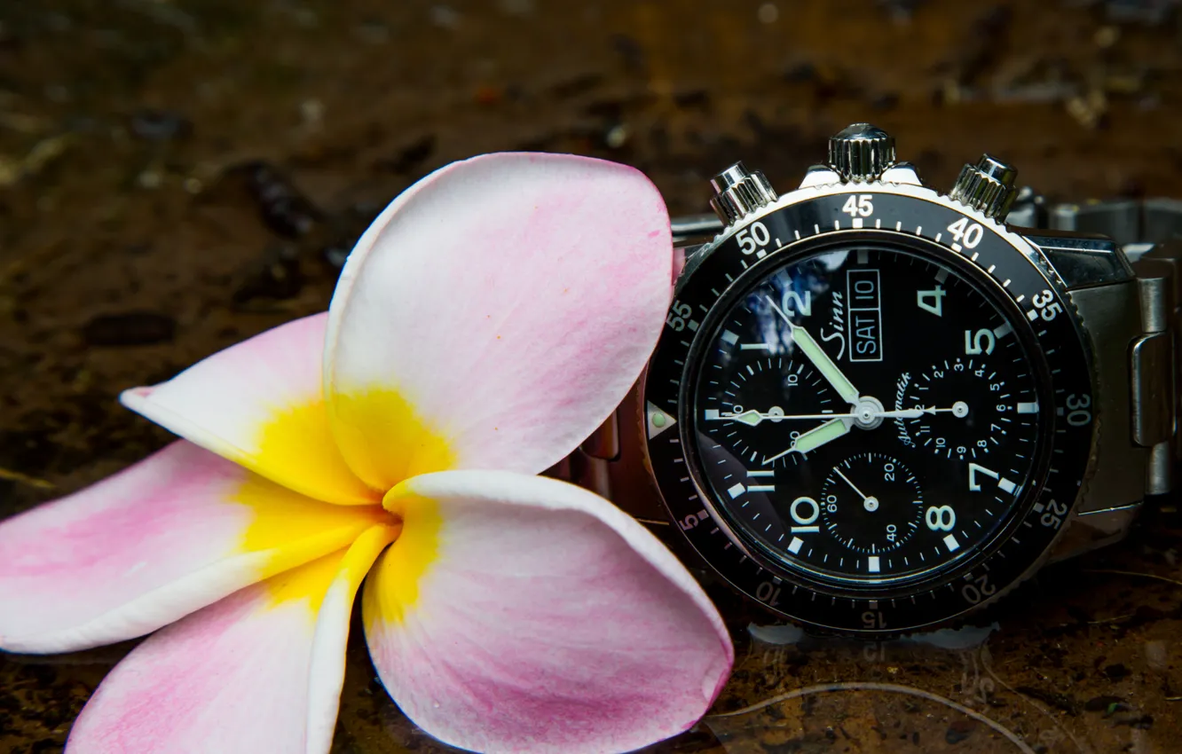 Photo wallpaper flower, watch, sinn