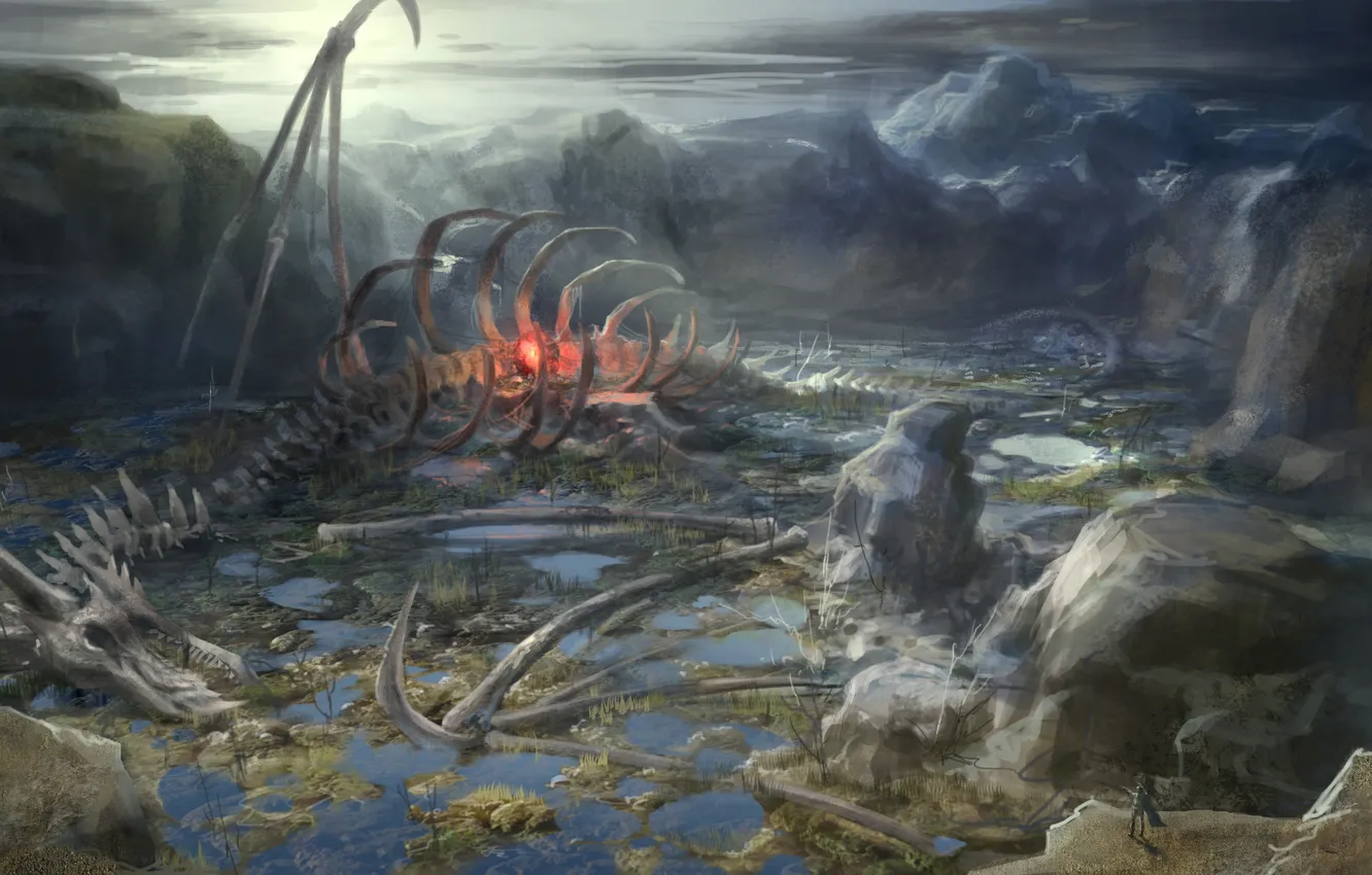 Photo wallpaper water, rocks, dragon, heart, art, skeleton, Core Online