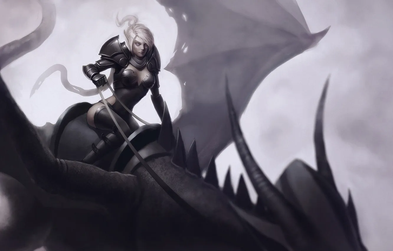 Photo wallpaper girl, dragon, elf, rider, art, elf, top
