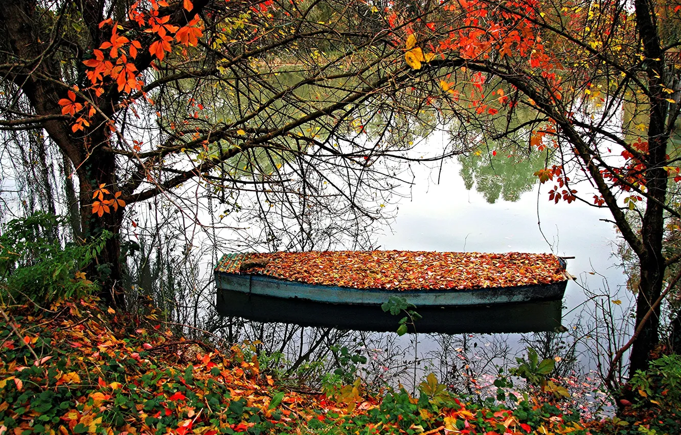 Photo wallpaper autumn, leaves, trees, lake, boat