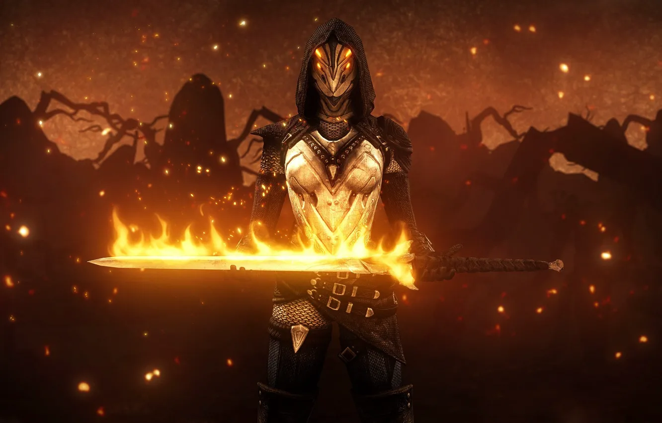 Photo wallpaper girl, the game, sword, Dark Souls II