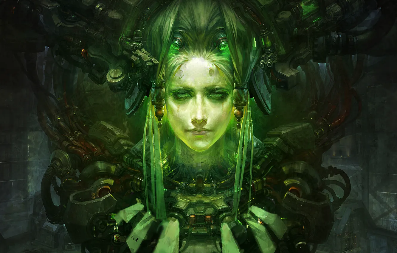 Photo wallpaper face, mechanism, head, cyberpunk, details, iron