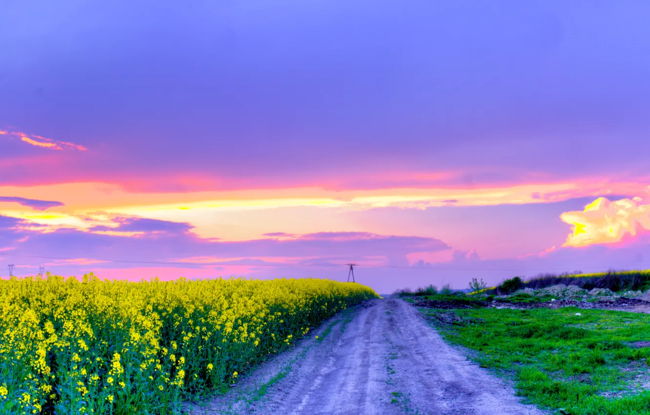 Photo wallpaper road, field, the sky, flowers, spring, may, Nature, may