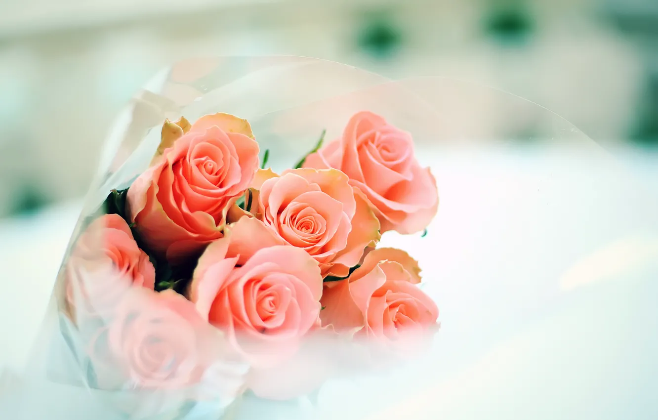 Photo wallpaper tenderness, roses, bouquet