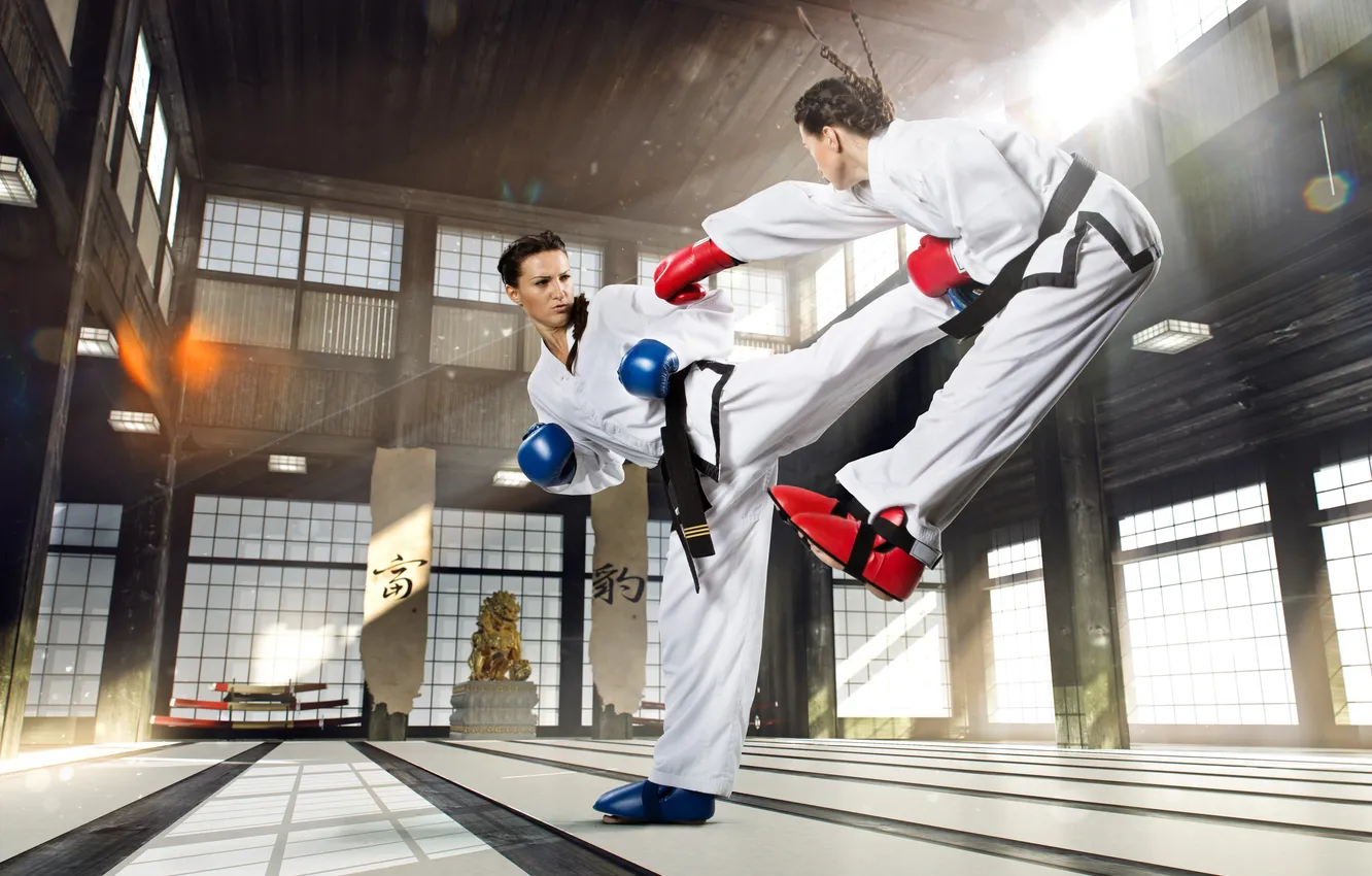 Photo wallpaper white, young, women, strength, sports, tae, training, traning