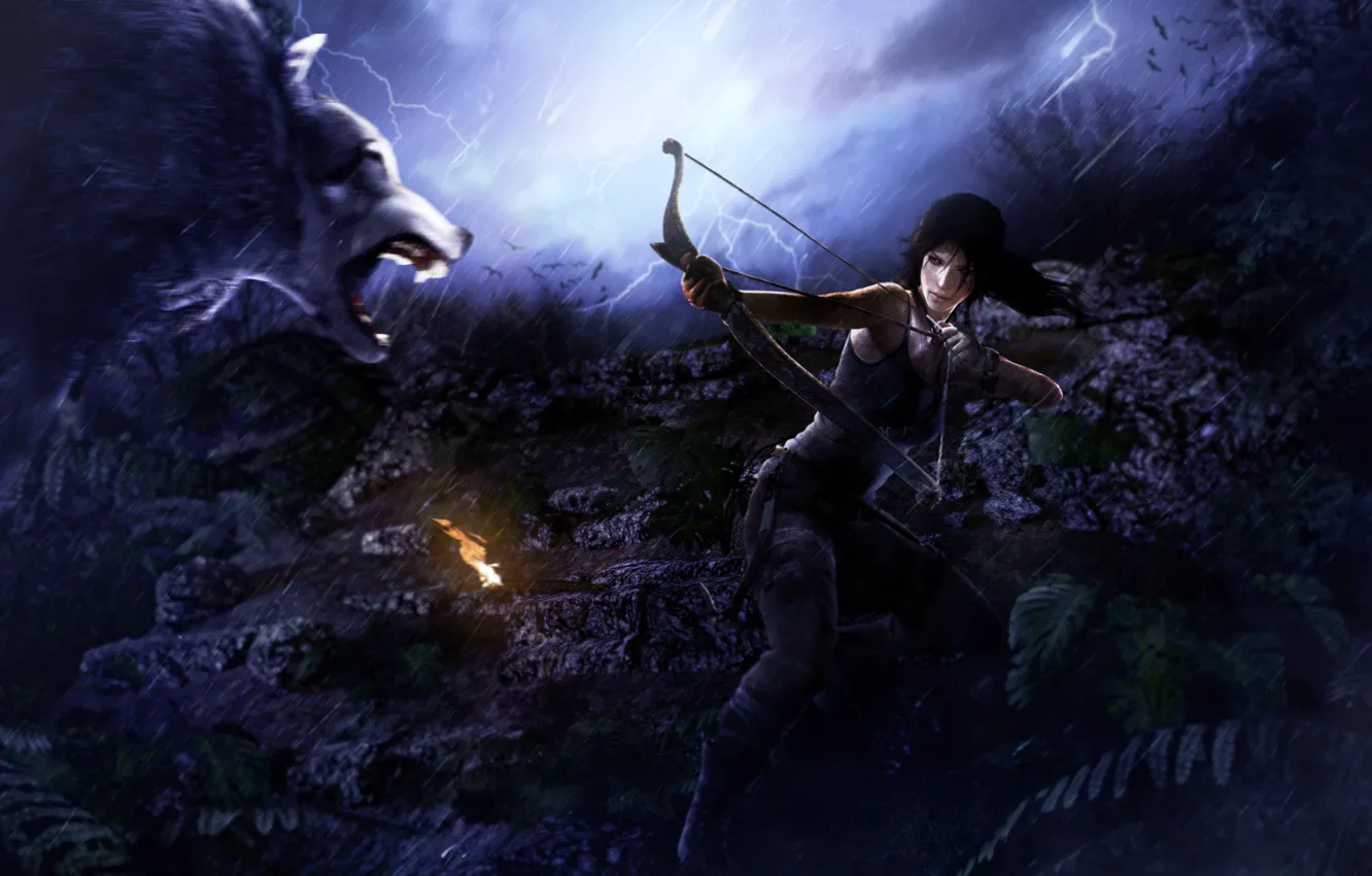 Photo wallpaper game, Lara Croft, Tomb Raider 2013