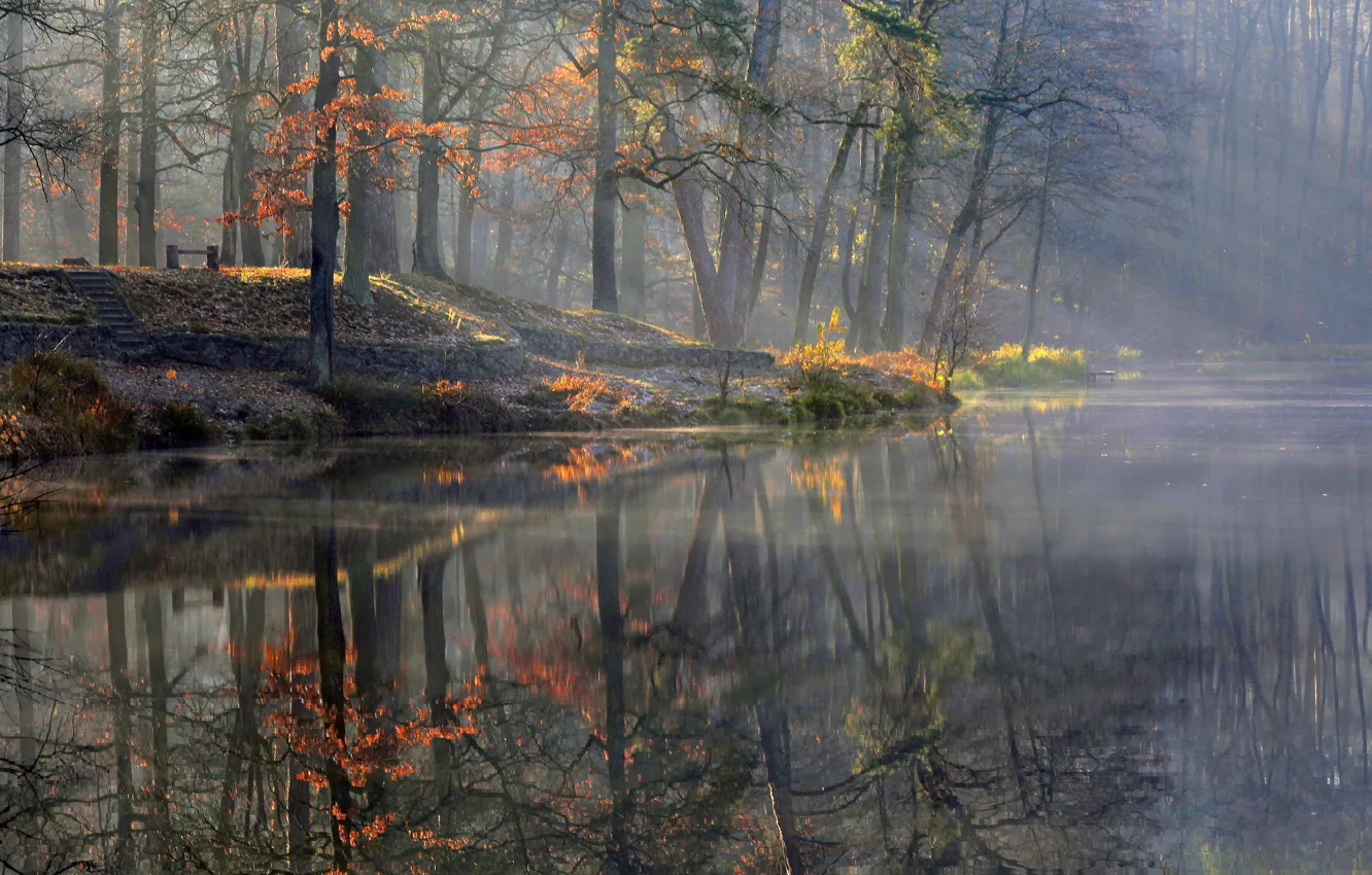 Photo wallpaper autumn, rays, light, trees, nature, reflection, pond, Alexey Milokost