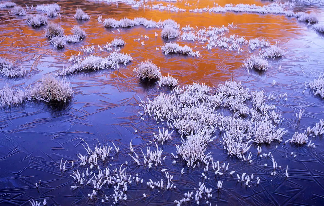 Photo wallpaper ice, frost, frost, Australia, Tasmania, Jerusalem National Park