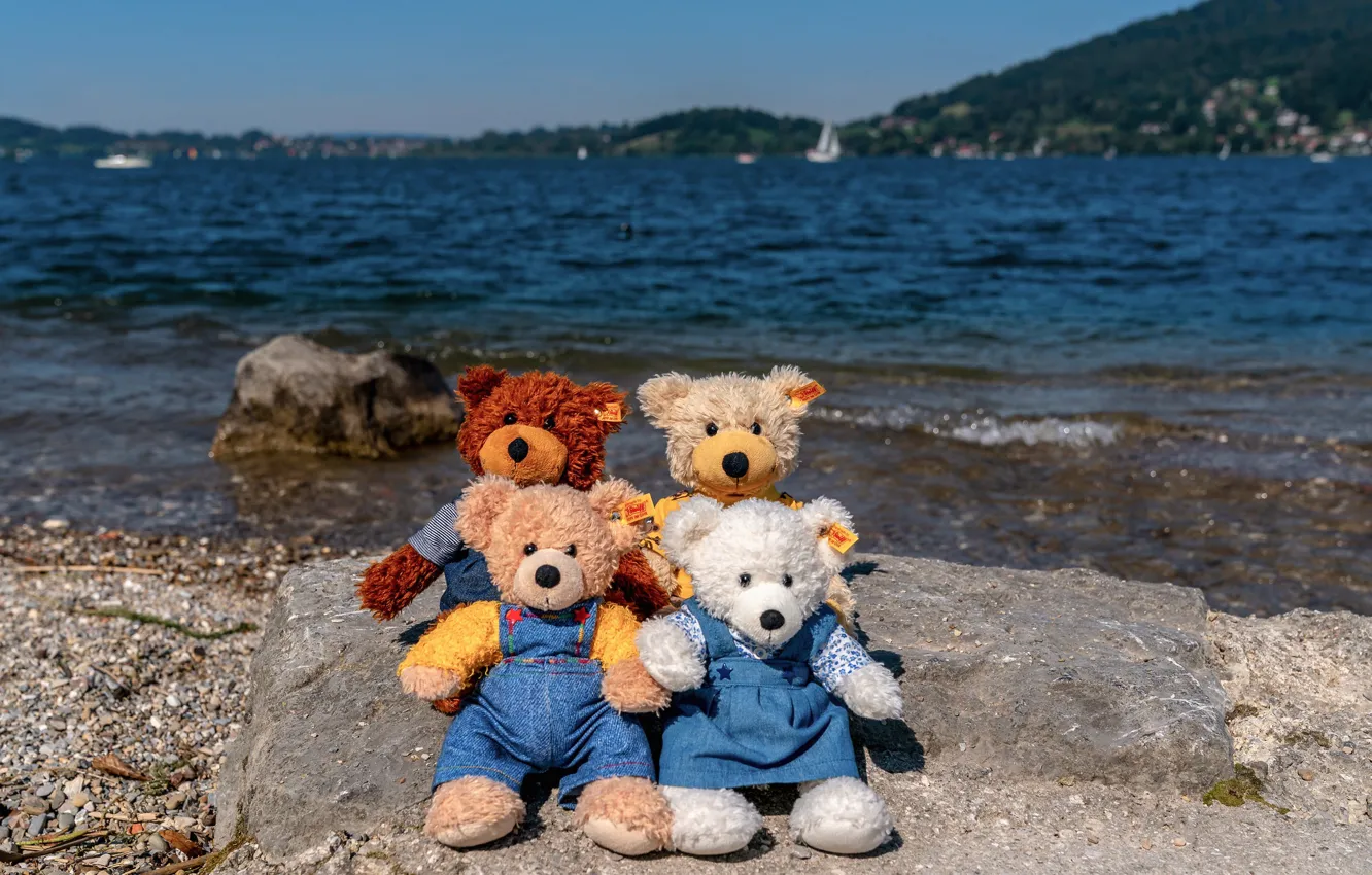 Photo wallpaper sea, stones, shore, toy, bear, bear, bear, company
