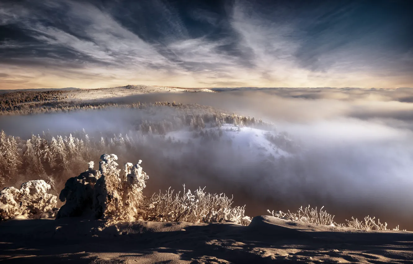 Photo wallpaper winter, the sky, clouds, light, snow, mountains, branches, fog