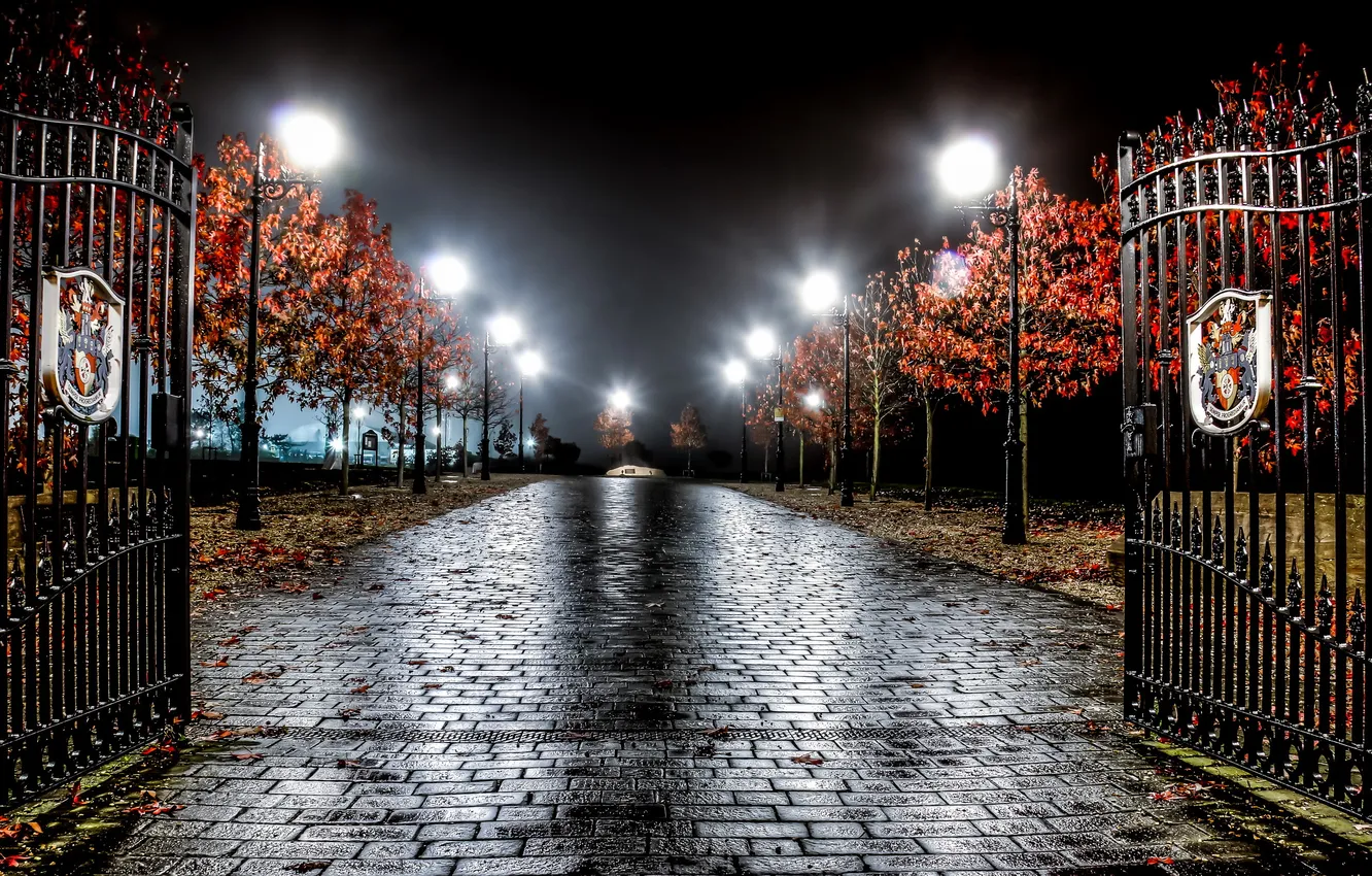 Photo wallpaper night, Park, England, Hough