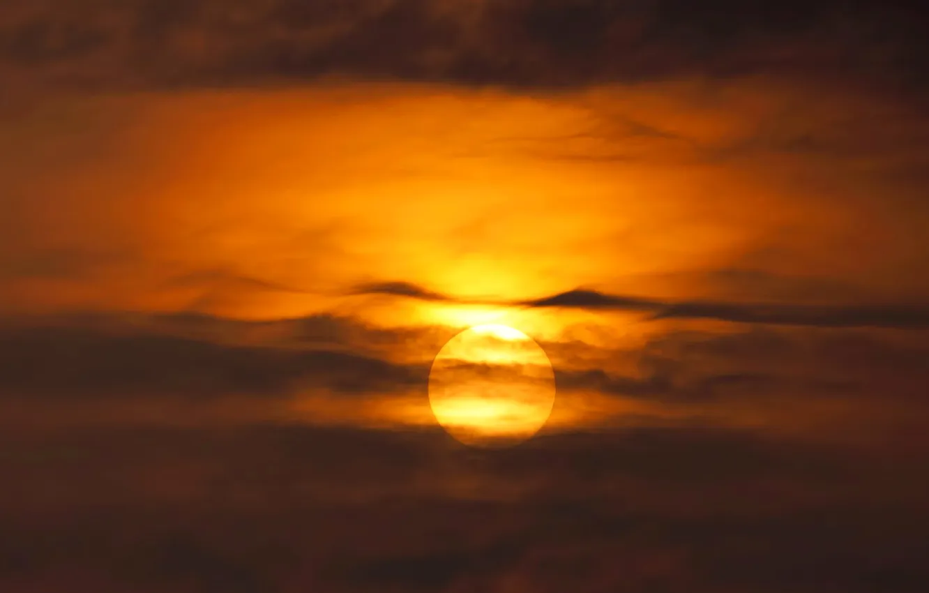 Photo wallpaper the sky, the sun, clouds, nature