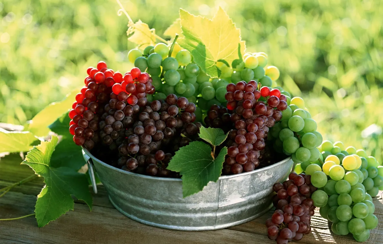 Photo wallpaper leaves, green, berries, grapes, bunch, basin