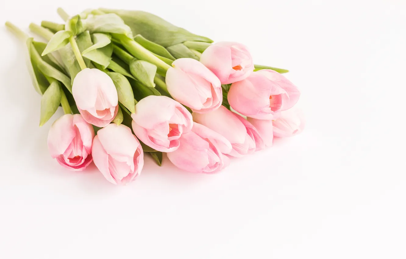 Photo wallpaper flowers, bouquet, tulips, pink