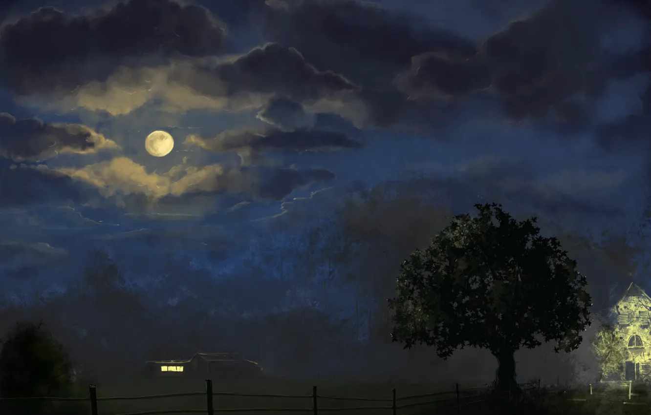 Photo wallpaper trees, night, home