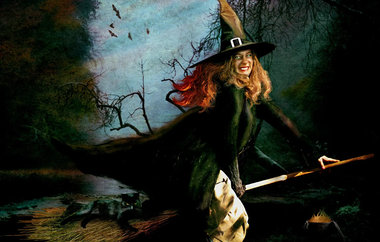 Photo wallpaper Halloween, witch, broom, black cat