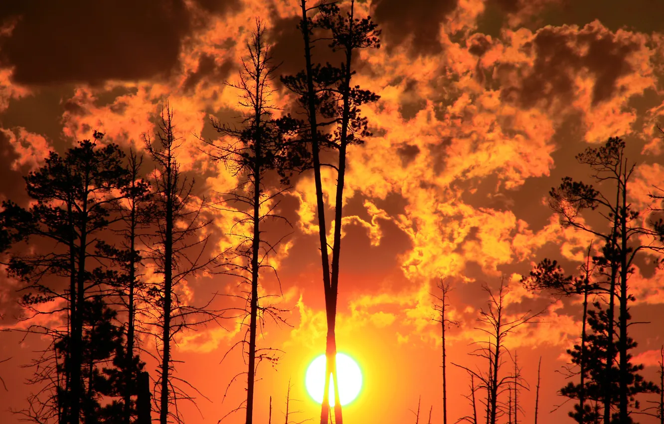 Photo wallpaper the sky, clouds, landscape