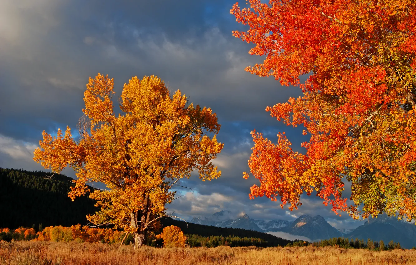 Photo wallpaper autumn, the sky, leaves, trees, mountains, clouds