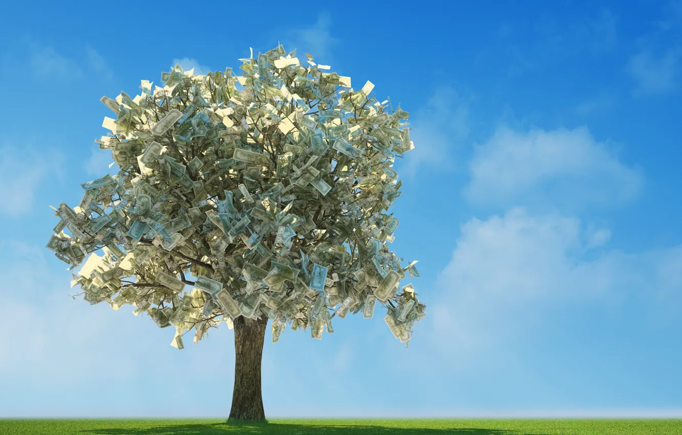 Photo wallpaper greens, field, the sky, grass, the sun, clouds, trees, branches