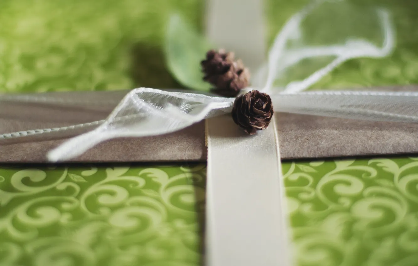 Photo wallpaper decoration, green, background, gift, widescreen, Wallpaper, tape, wallpaper