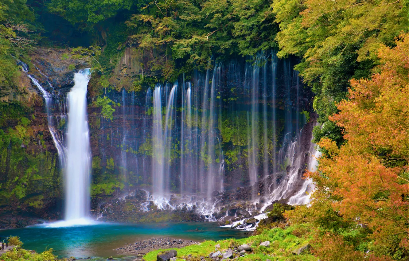 Photo wallpaper autumn, forest, trees, rock, waterfall, Japan, Japan, Shiraito Falls