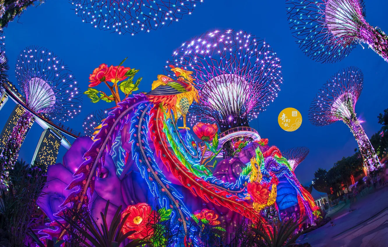 Photo wallpaper lights, Asia, new year, Singapore
