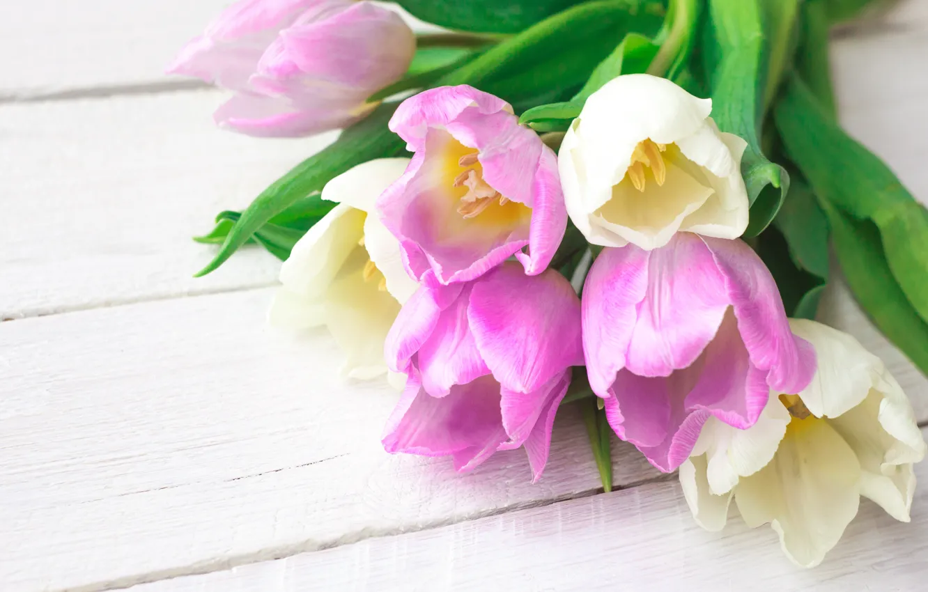 Photo wallpaper flowers, bouquet, tulips, pink, white, fresh, pink, flowers