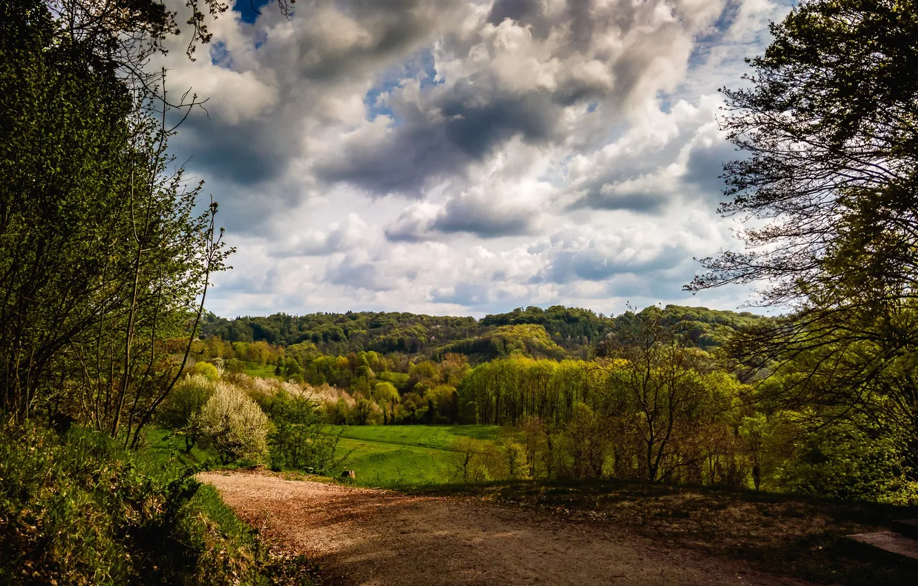 Photo wallpaper road, forest, clouds, trees, Germany, The Kaiserstuhl hills