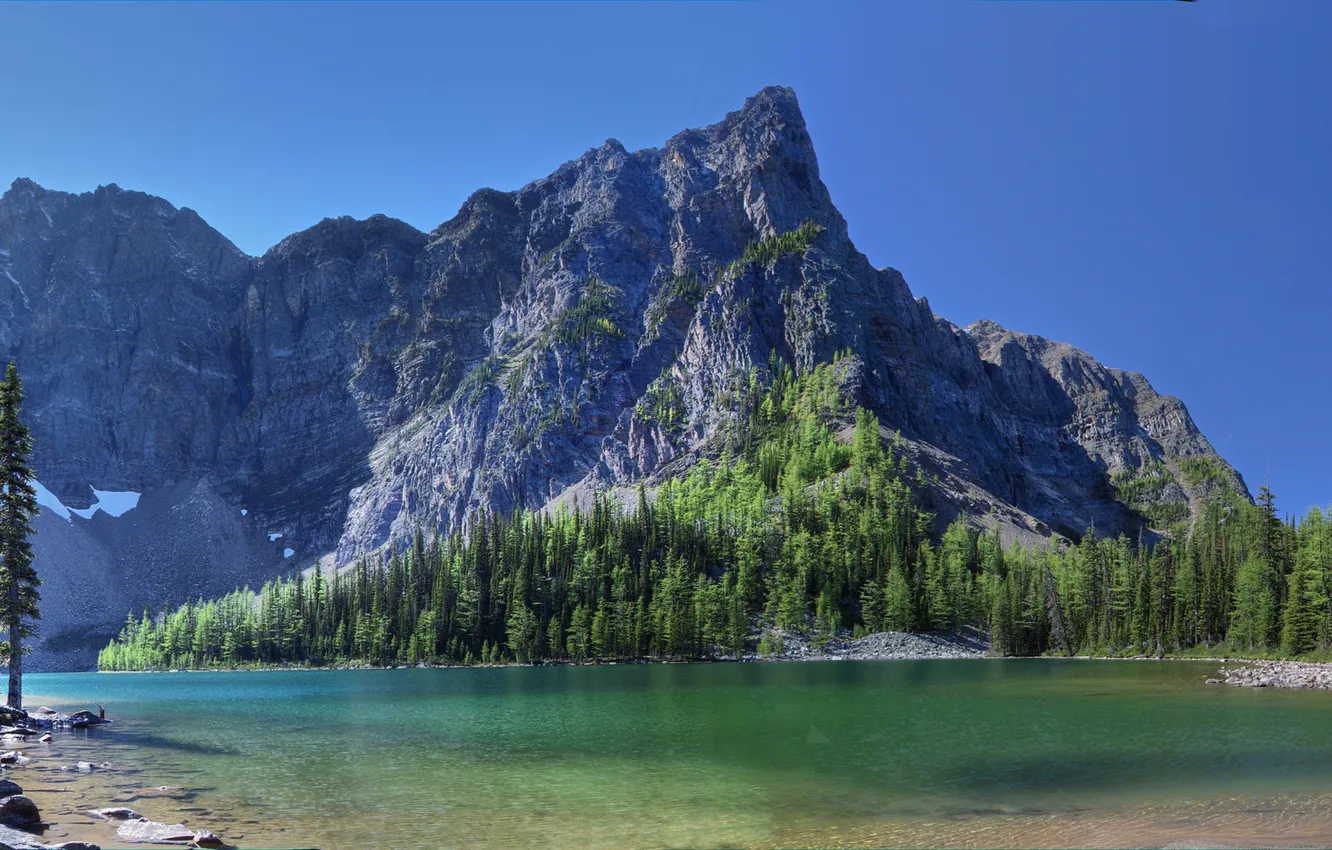Photo wallpaper forest, the sky, mountains, lake, panorama