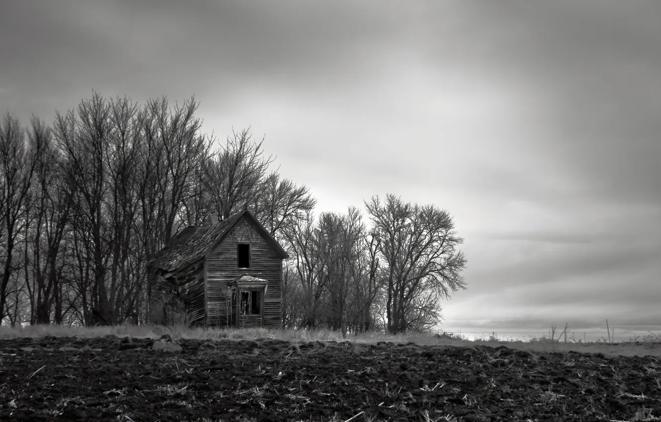 Photo wallpaper field, landscape, night, home