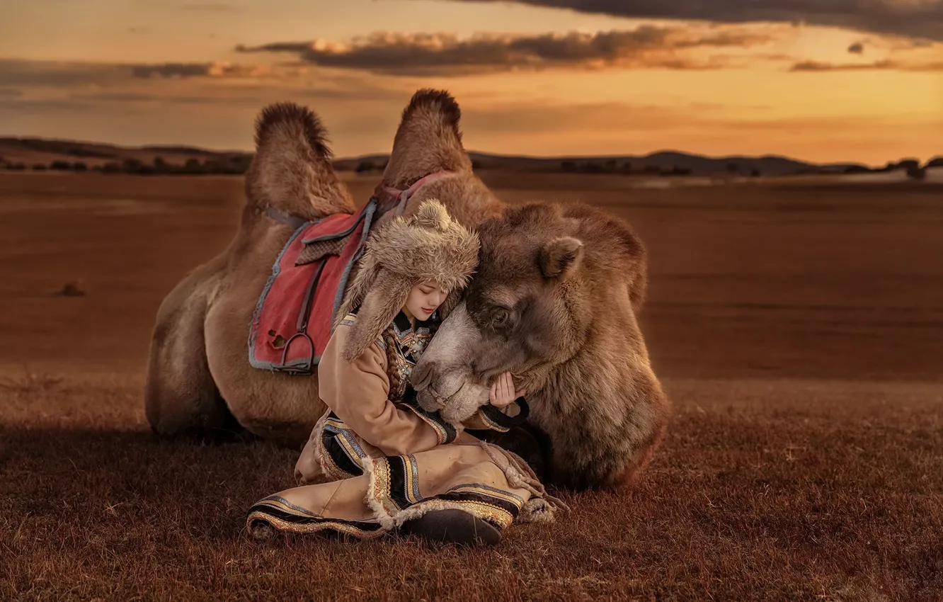 Photo wallpaper girl, camel, Asian