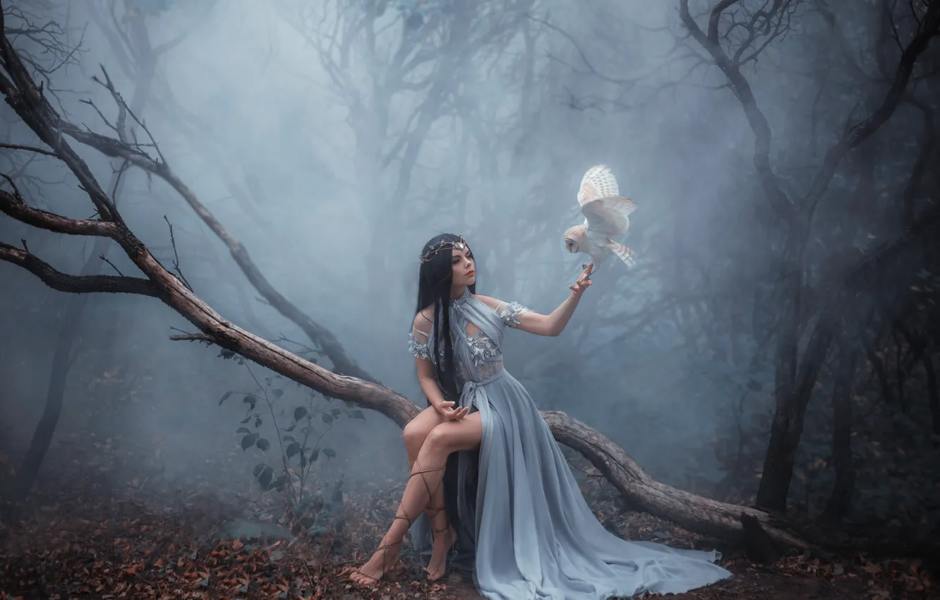 Photo wallpaper forest, girl, trees, fog, owl, brunette, witch, beautiful
