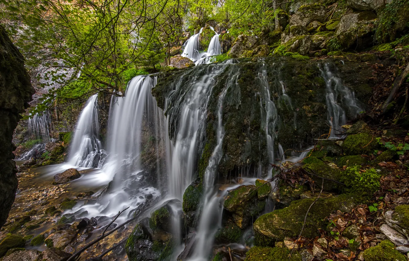 Photo wallpaper forest, leaves, stones, France, waterfall, moss, the bushes, Doriaz Waterfall