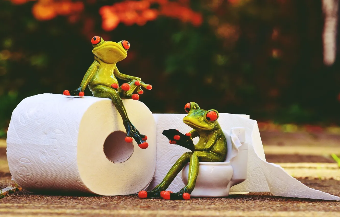 Photo wallpaper vintage, animals, style, frog, rendering, paper, toilet