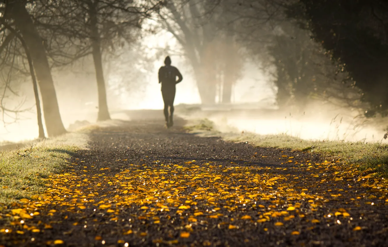 Photo wallpaper autumn, fog, Park, morning