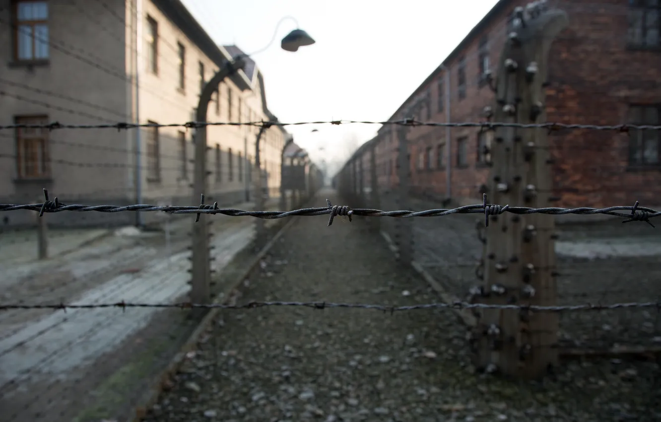 Photo wallpaper freedom, death, Auschwitz, fascism