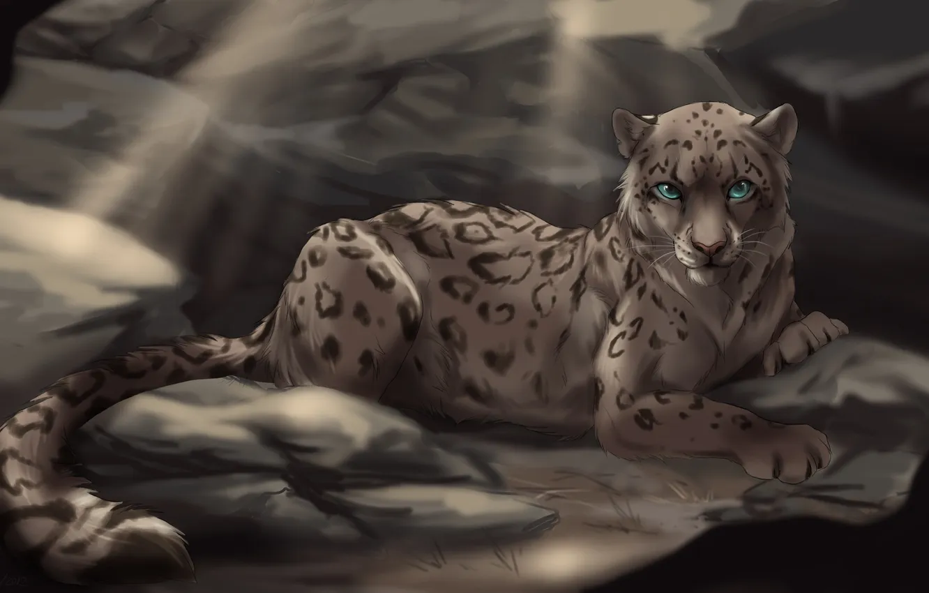 Photo wallpaper cat, rocks, predator, art, spot, IRBIS, wild, the sun's rays