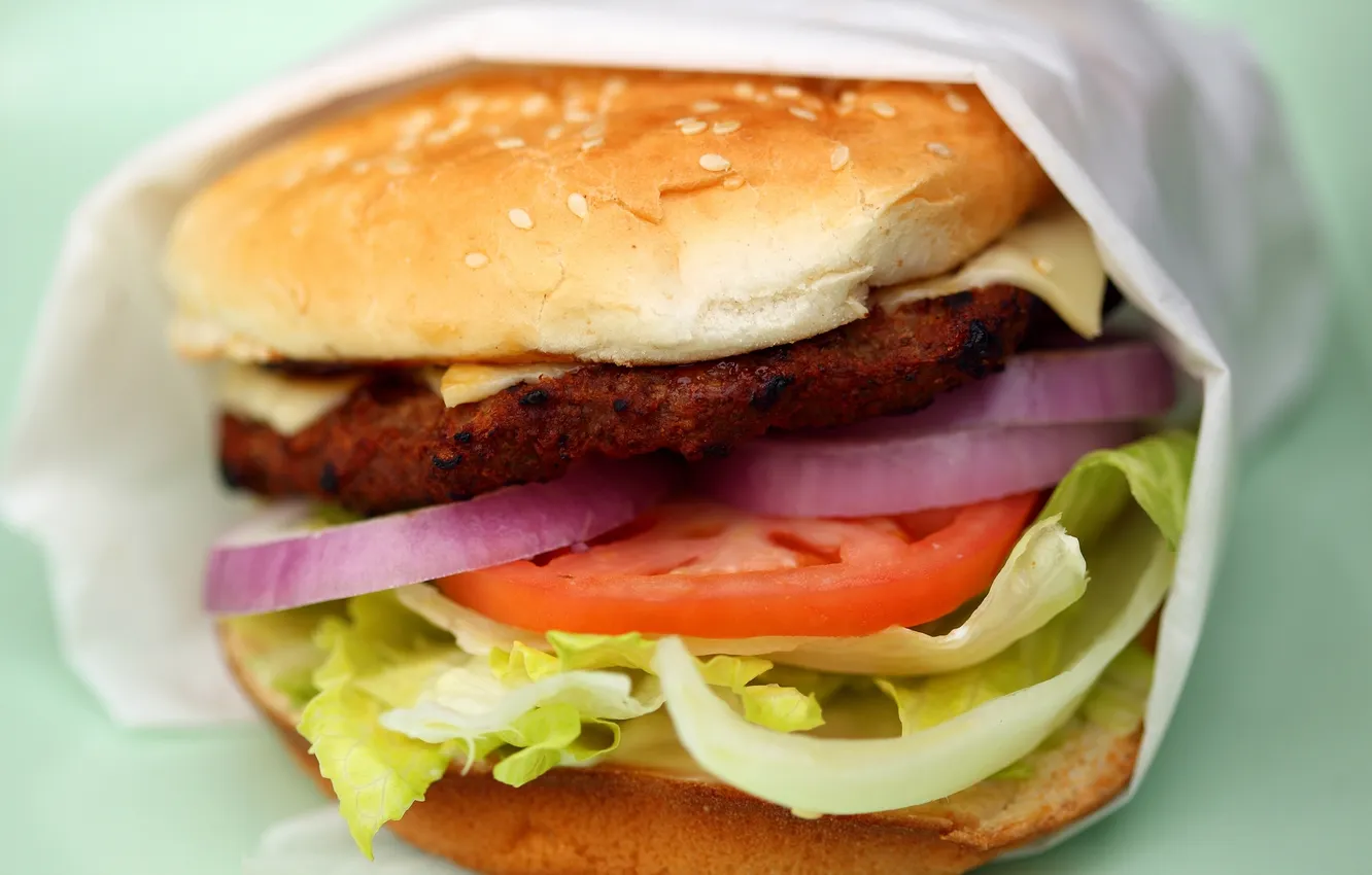 Photo wallpaper bread, tomatoes, fast food, hamburger, meat